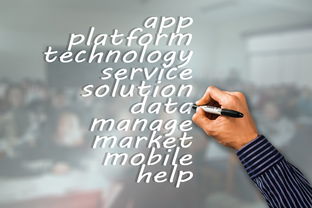 星空game官网-瑞典队未来：如何建立更具竞争力的国际品牌，瑞典队分析