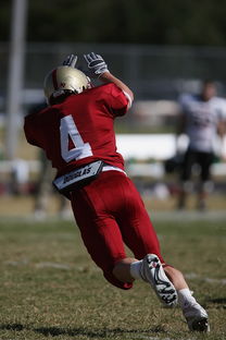 星空中国官网-CBA赛季转会期开放多支球队进行大规模阵容调整,cba转会动态2021