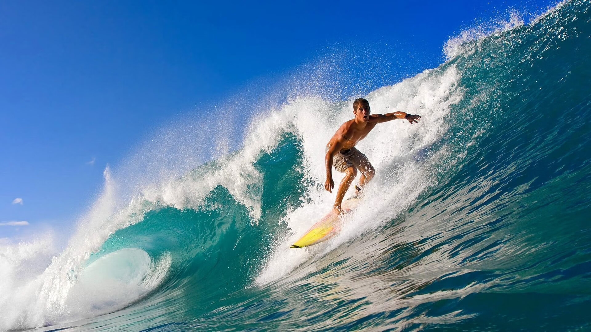 星空体育官网首页-“阿根廷美洲狮队为未来设定新目标，走向全球”